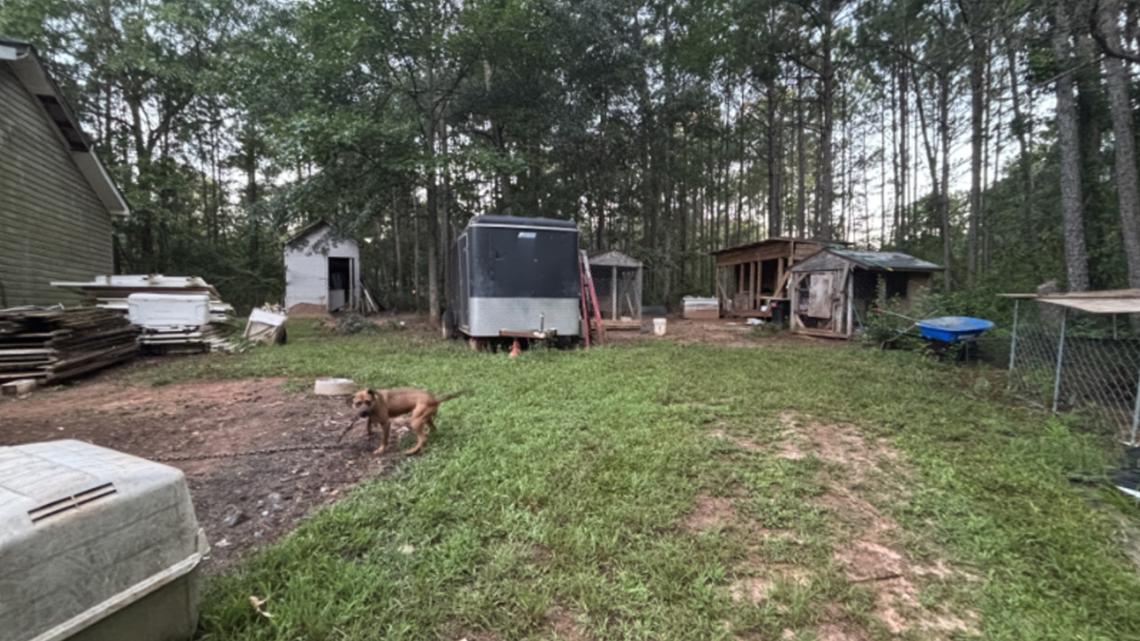 Suspected dog fighting operation dismantled in Crawford County after 23 dogs recovered, man arrested: officials