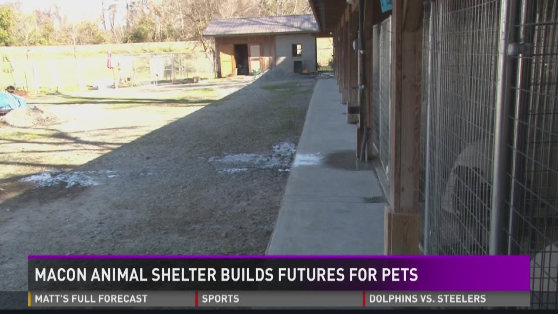 Building a better future for Macon's furry friends brick by brick