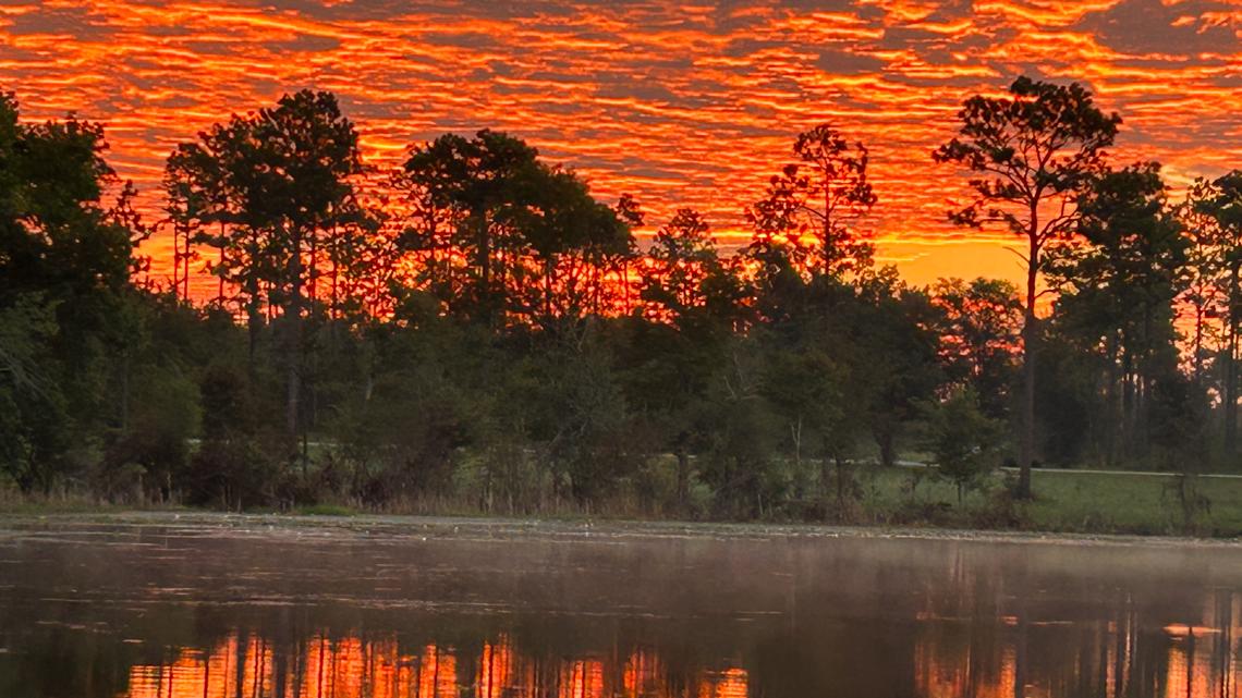 Discover Georgia: Seminole State Park - Vimarsana News