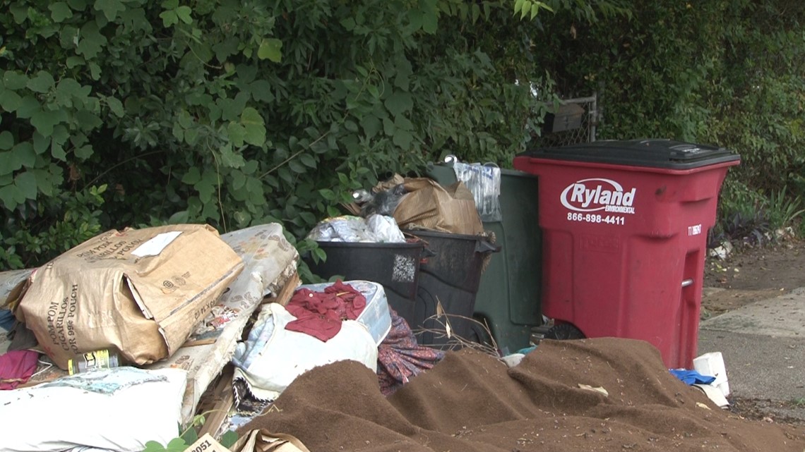 Update to south Macon park could provide address illegal dump - Vimarsana News
