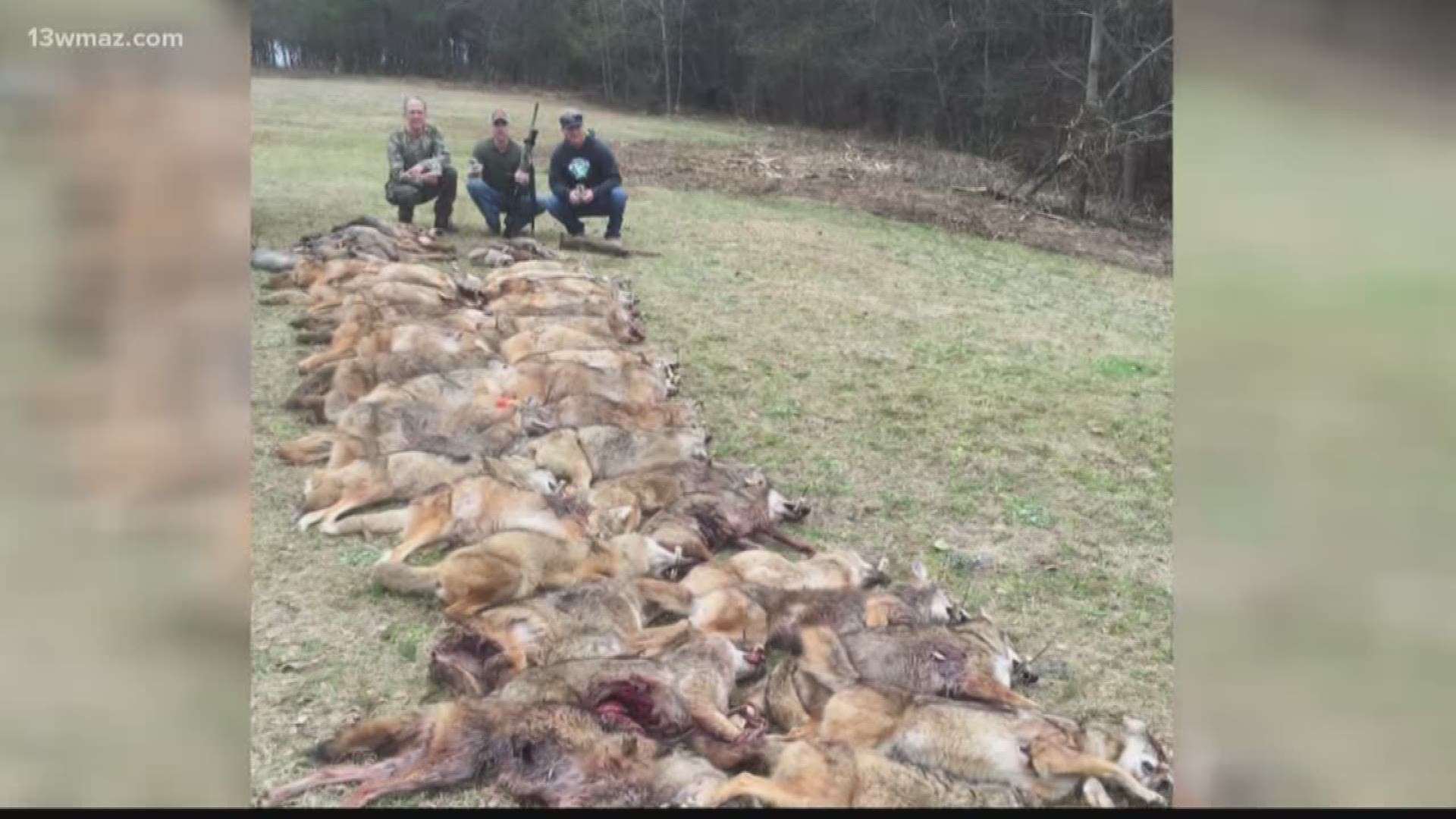 The Georgia Predator Hunting Association hosts the coyote hunting competition, and these brothers can call themselves the champs two years in a row.