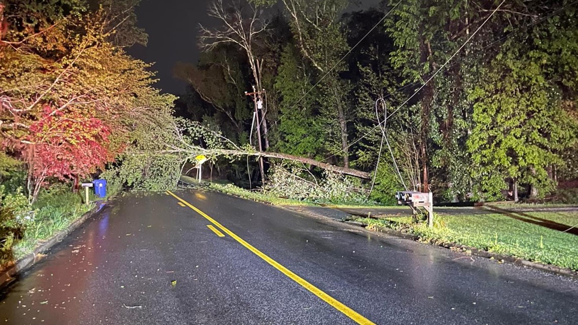 Traffic Alert: West Dublin road blocked by down tree, powerlines - Vimarsana News