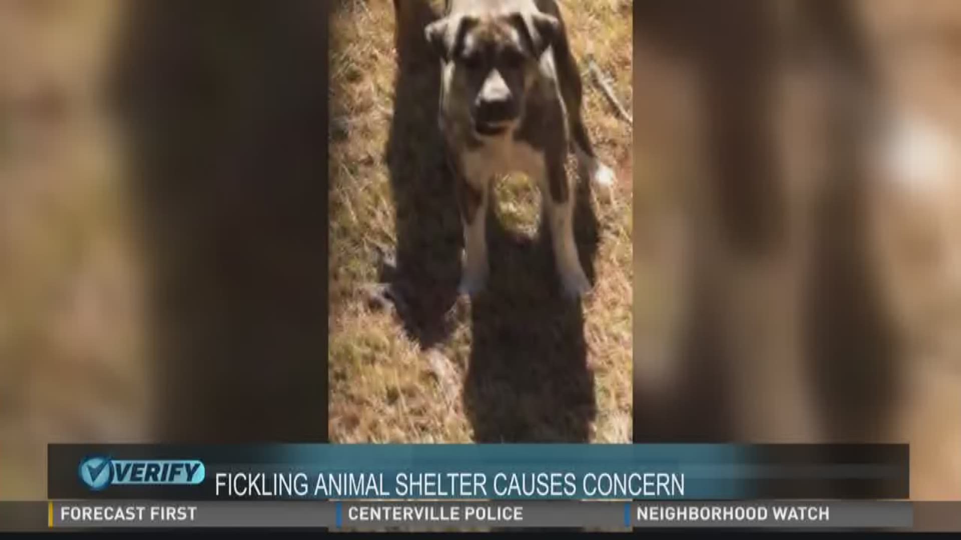 Fickling animal shelter causes concern in north Macon neighborhood |  13wmaz.com