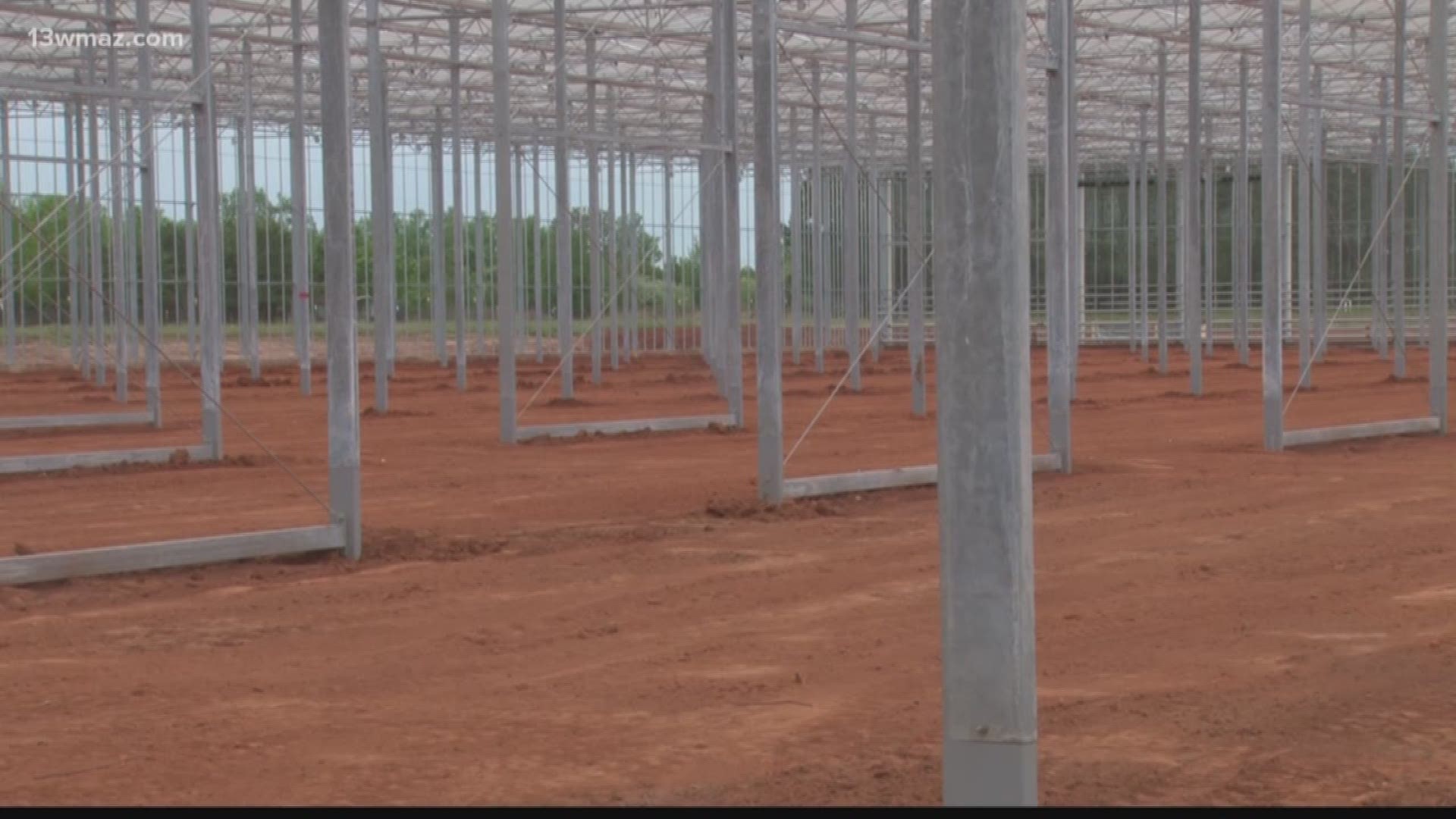 $105M greenhouse coming to Peach County