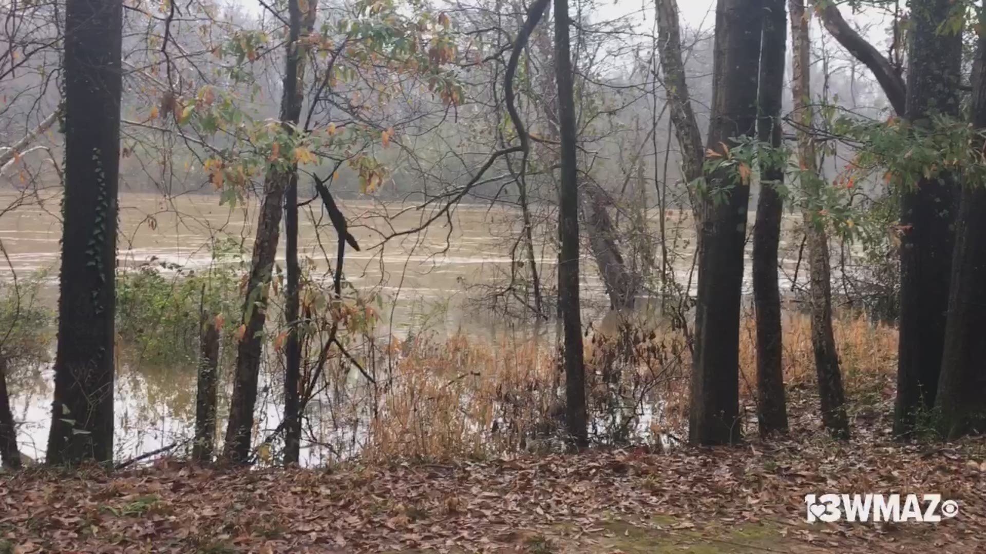 The Ocmulgee River is currently in a minor flood stage.