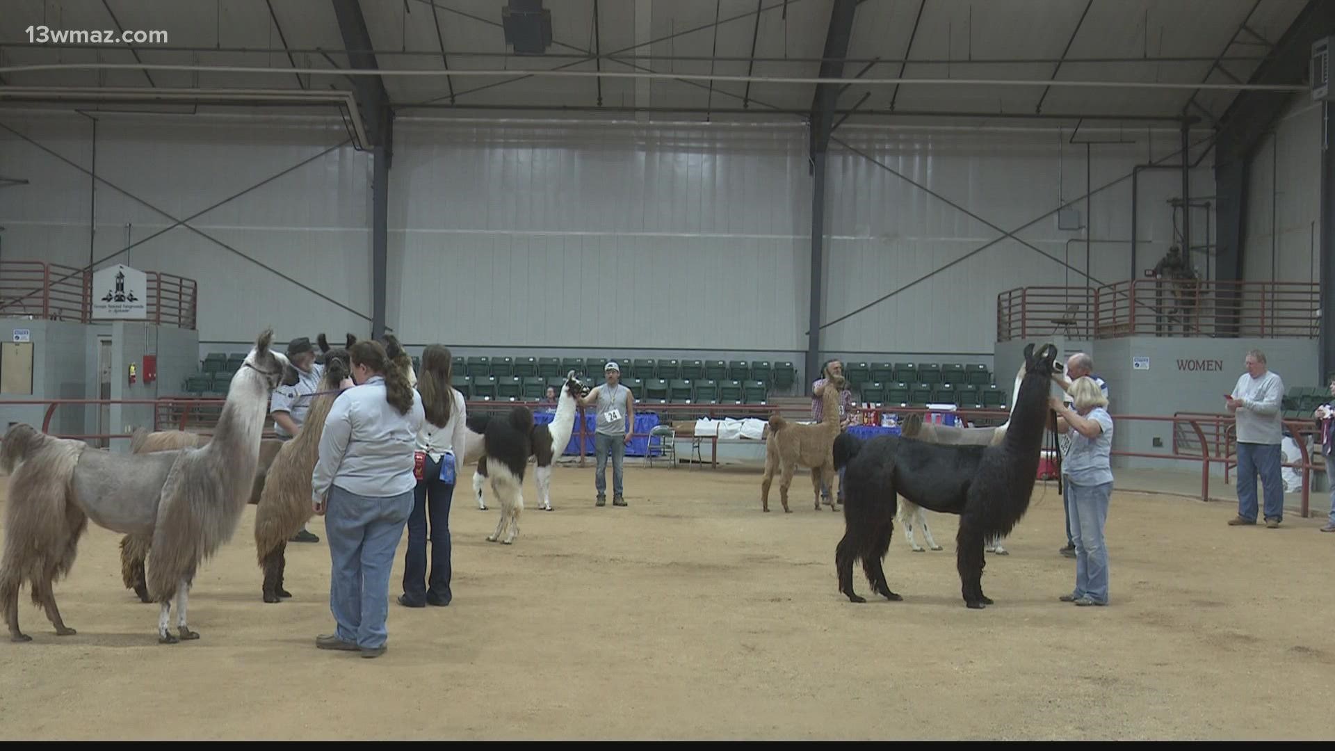 The show lasted two days and folks even traveled from the Carolinas to enter the competition.