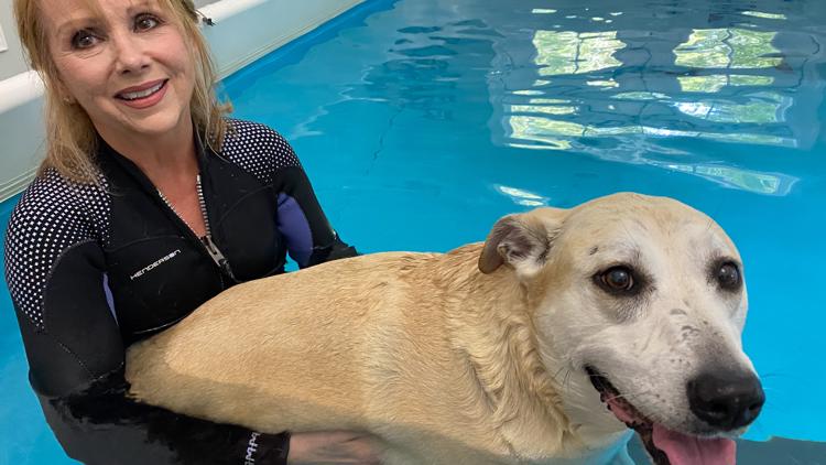 Central Georgia specialist gives pups a therapeutic pool workout