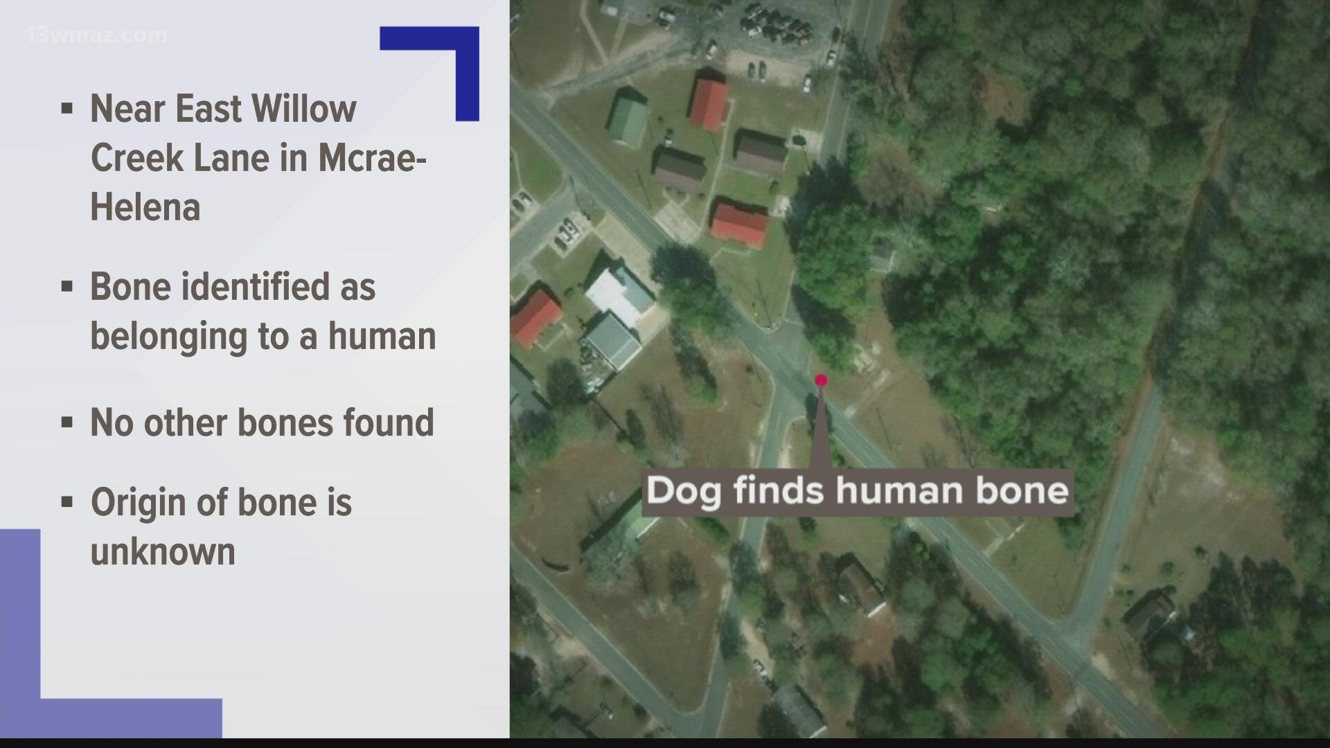 More bones have not been recovered from the area, and it's unknown where the dog originally found it.