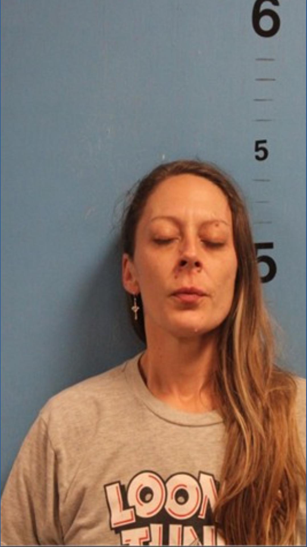 Woman arrested after chaotic police chase with children in car ...