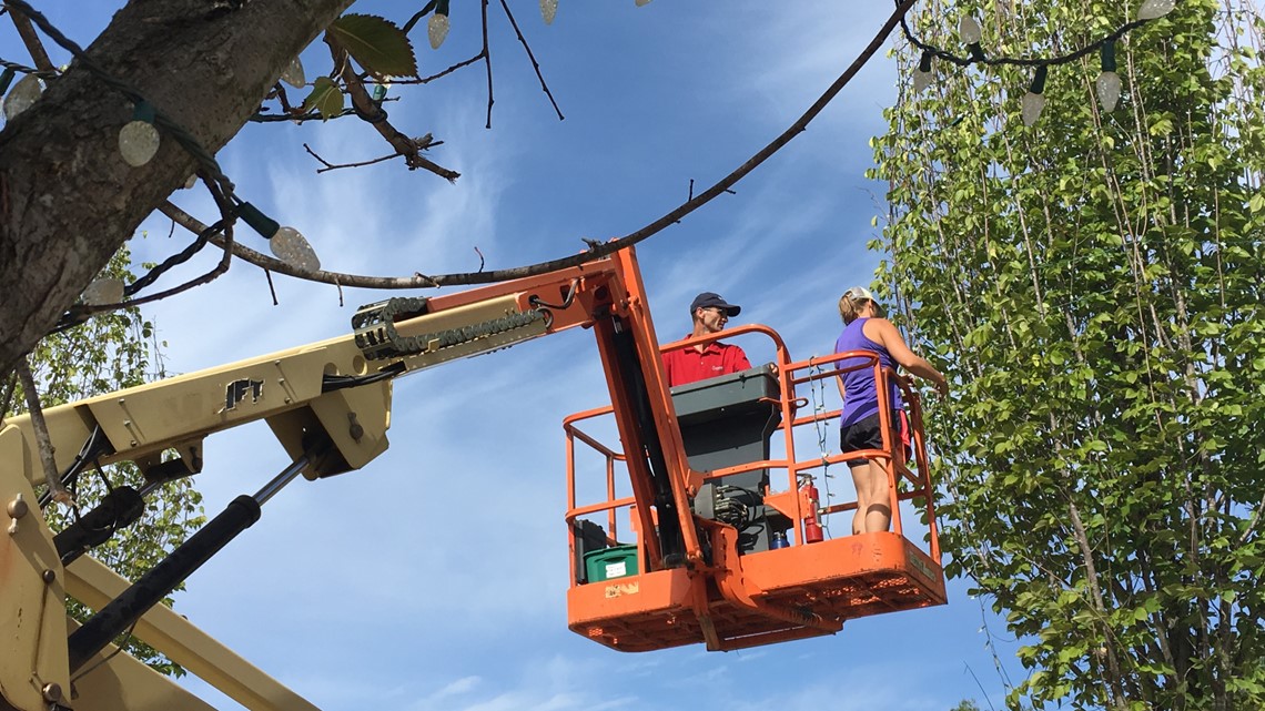 Preparations underway for Main Street Christmas Light Extravaganza