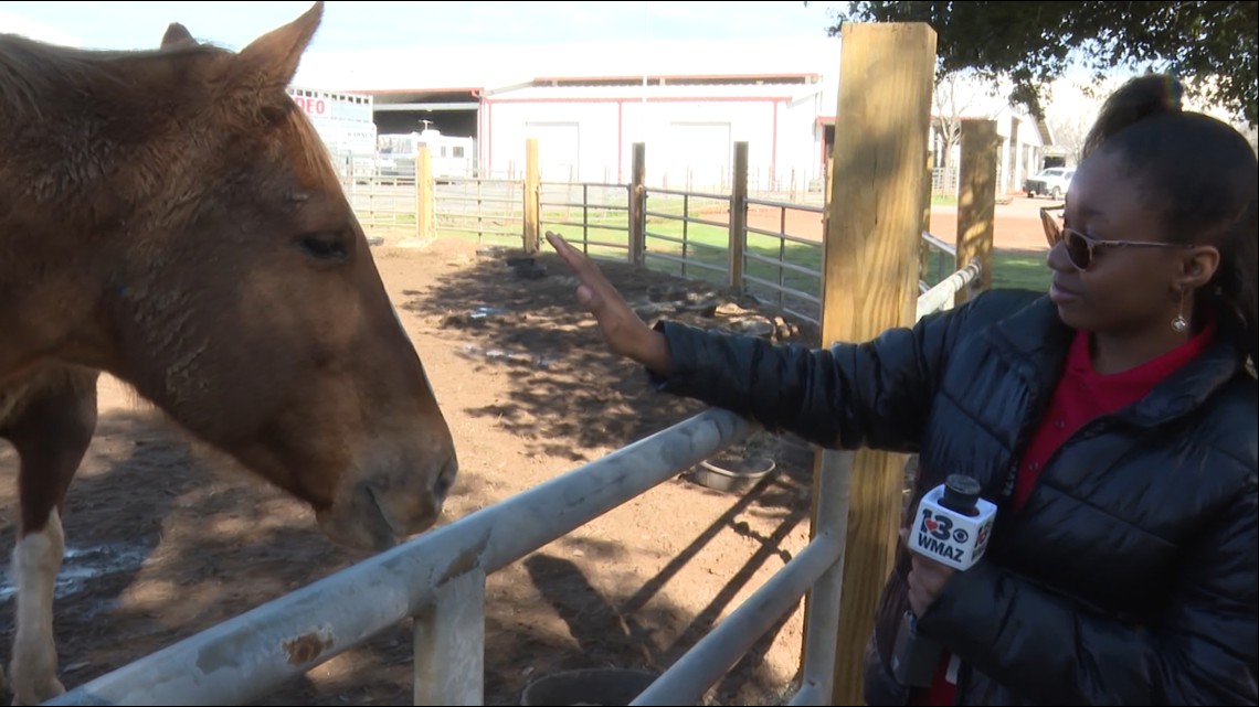Cowboys and cowgirls saddle up for the 2025 Georgia National Rodeo in ...