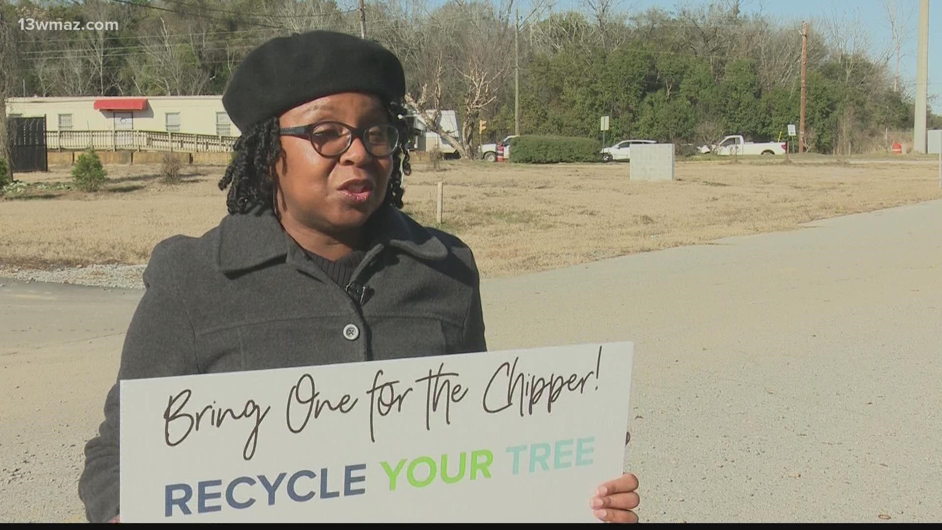 This annual project helps recycle real Christmas trees in an eco-friendly way.
