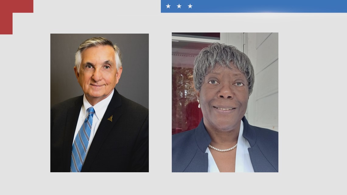 2 candidates vie for Georgia House District 144 - Vimarsana News