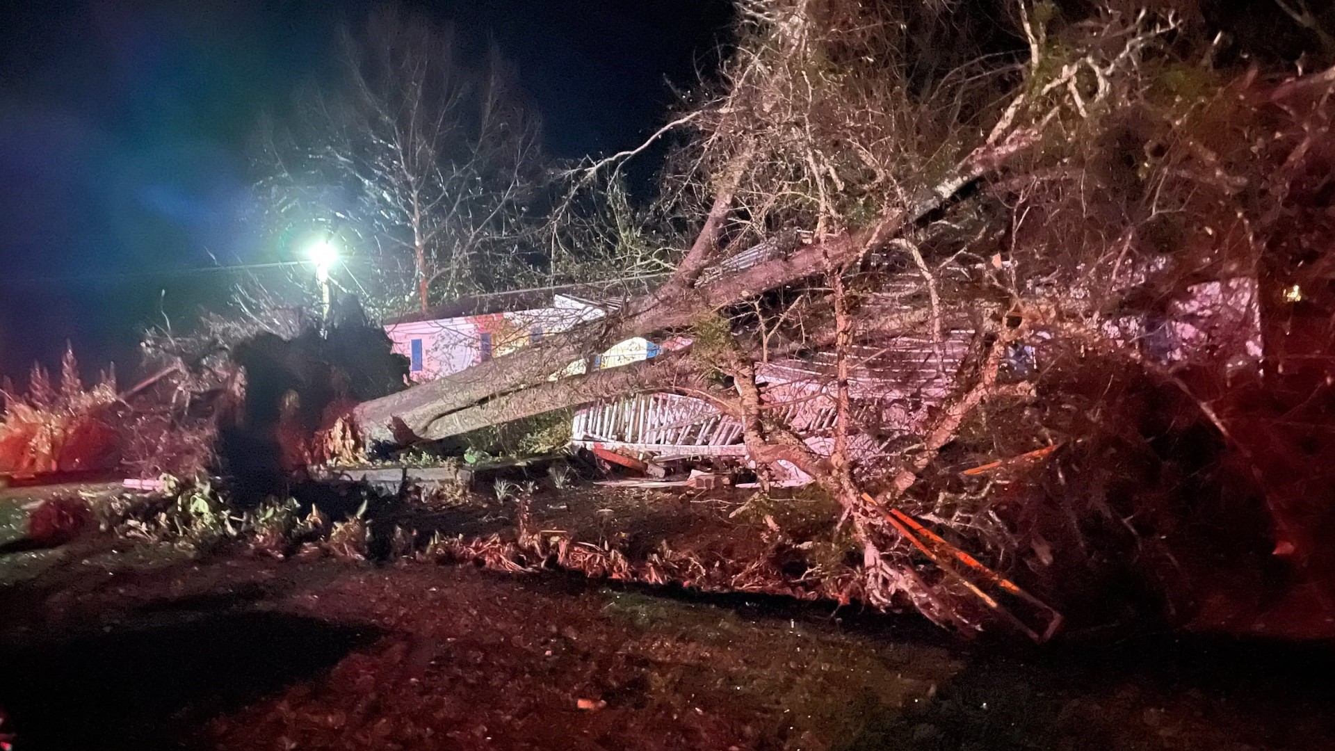 A family was in their home when a tree fell on it during a storm in Wilcox County Sunday.