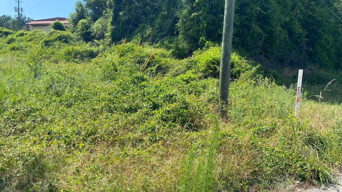 Body found near Eisenhower Parkway in Macon, Georgia - Vimarsana News