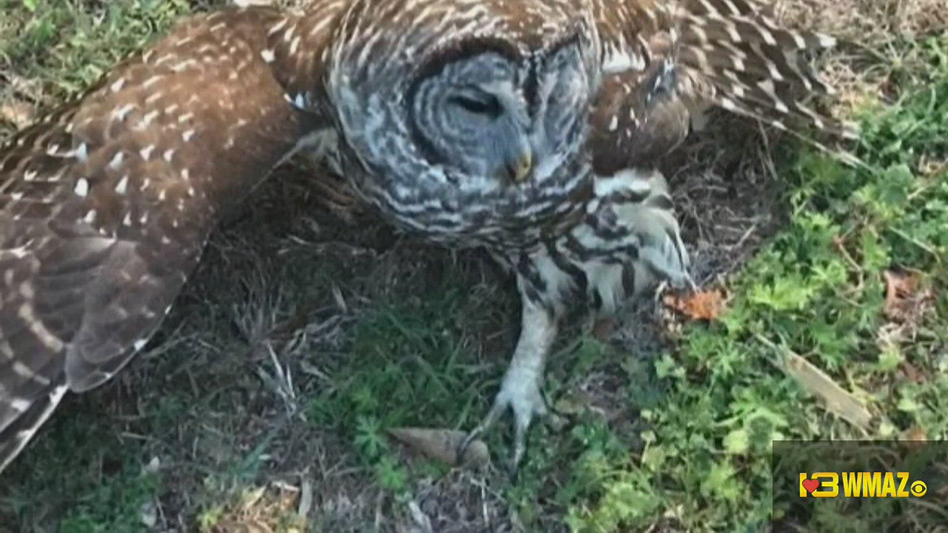 Perry is one of "Safest Cities" and not just for its people