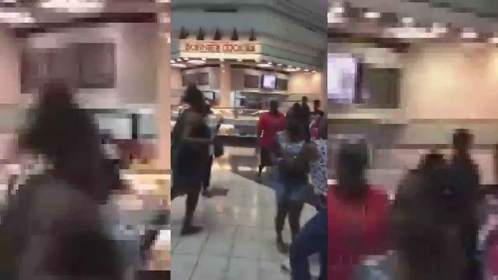A person was cut with a weapon during a fight Tuesday night at the Galleria Mall in Centerville. (Video submitted to 13WMAZ)
