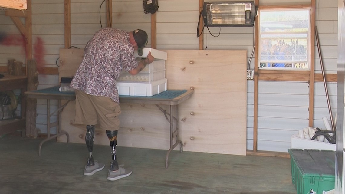 Hawkinsville veteran finds healing in new business raising quail - Vimarsana News