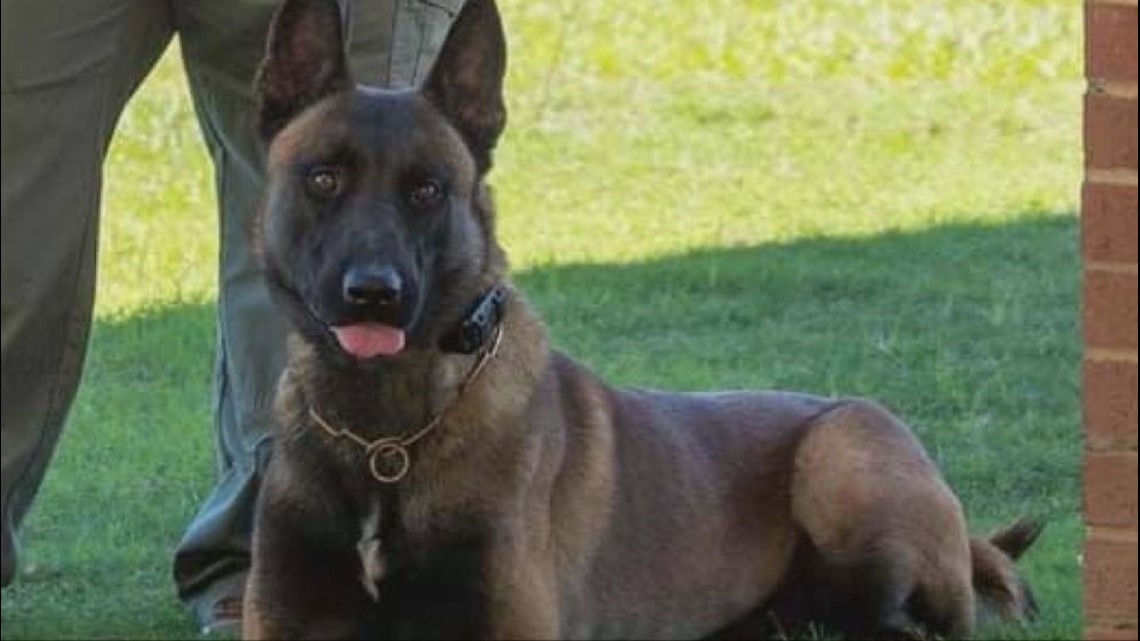 Monroe sheriff backs demotion of deputy who forgot K-9 in hot car - Vimarsana News