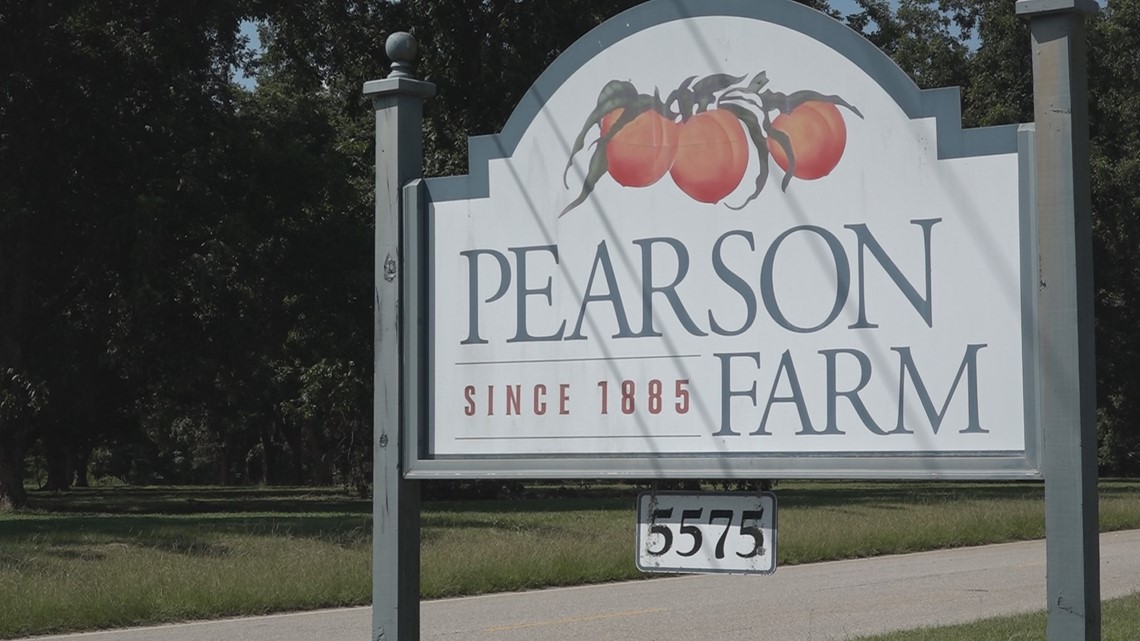 Pearson Farm brings a variety pecans to National Fair