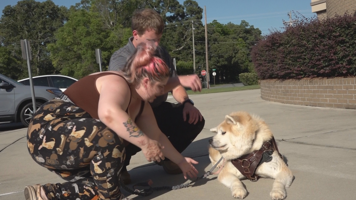 A Warner Robins veteran received an animal limitation waiver to save a dog with heartworms that city leaders said fac...