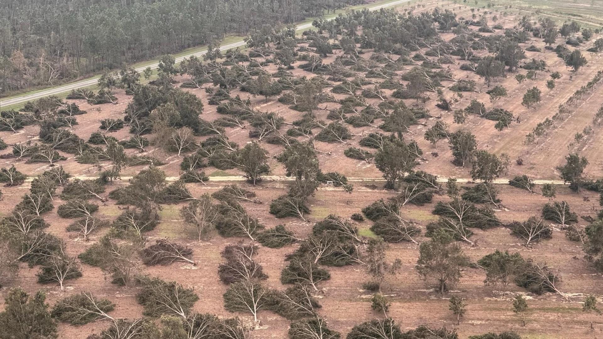 Pecan farmers face challenges after hurricane