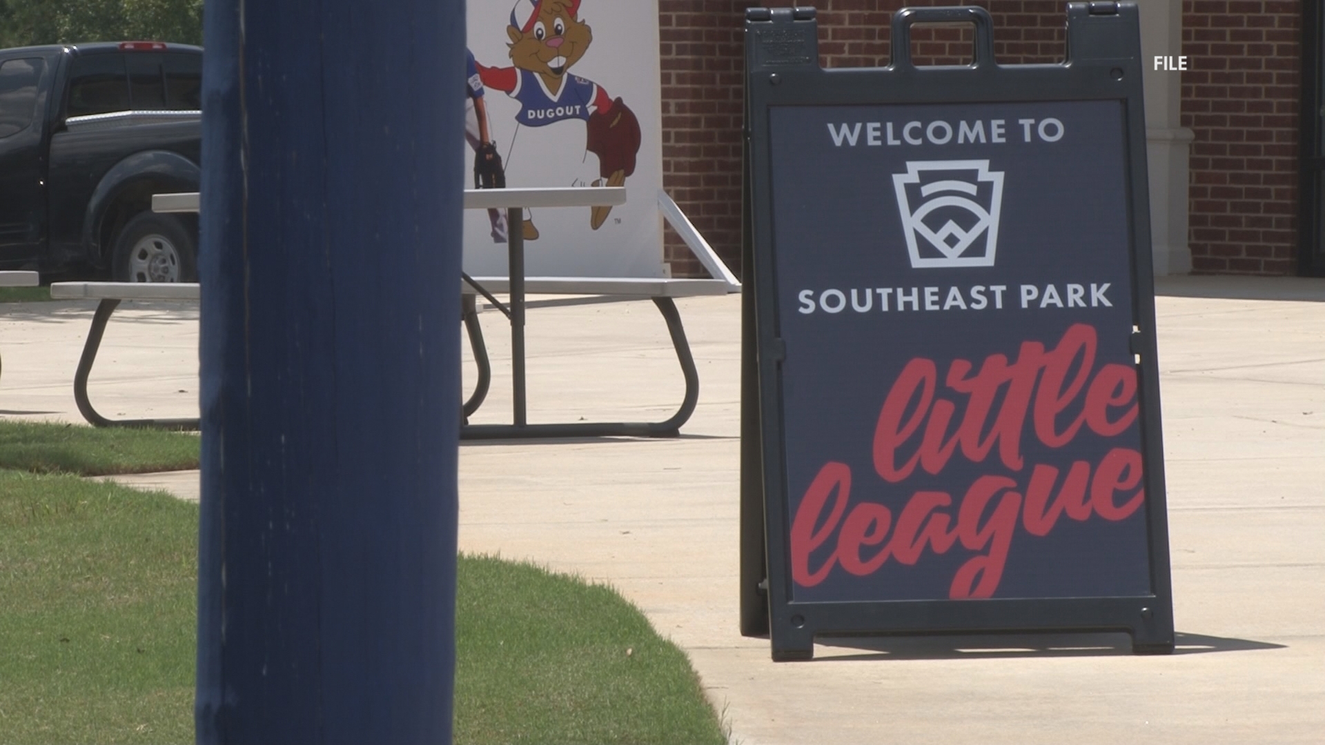 Fifteen teams compete in Warner Robins for Little League World Series spots fueled by community support and volunteers.