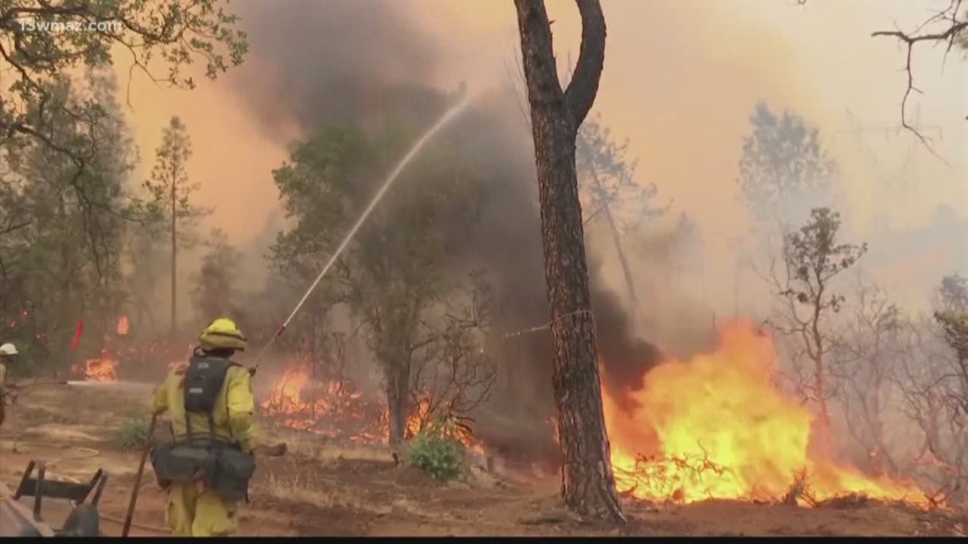 Earlier this year, two long-time Houston County firefighters both passed away from pancreatic cancer. 13 Investigates the link physicians say exists between firefighters and increased rates of cancer.