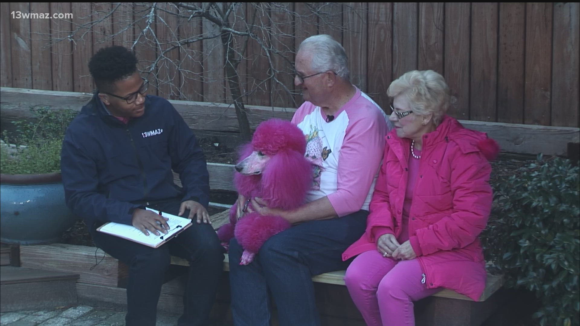 Meteorologist Jordan West meets Cherry the Pink Poodle!