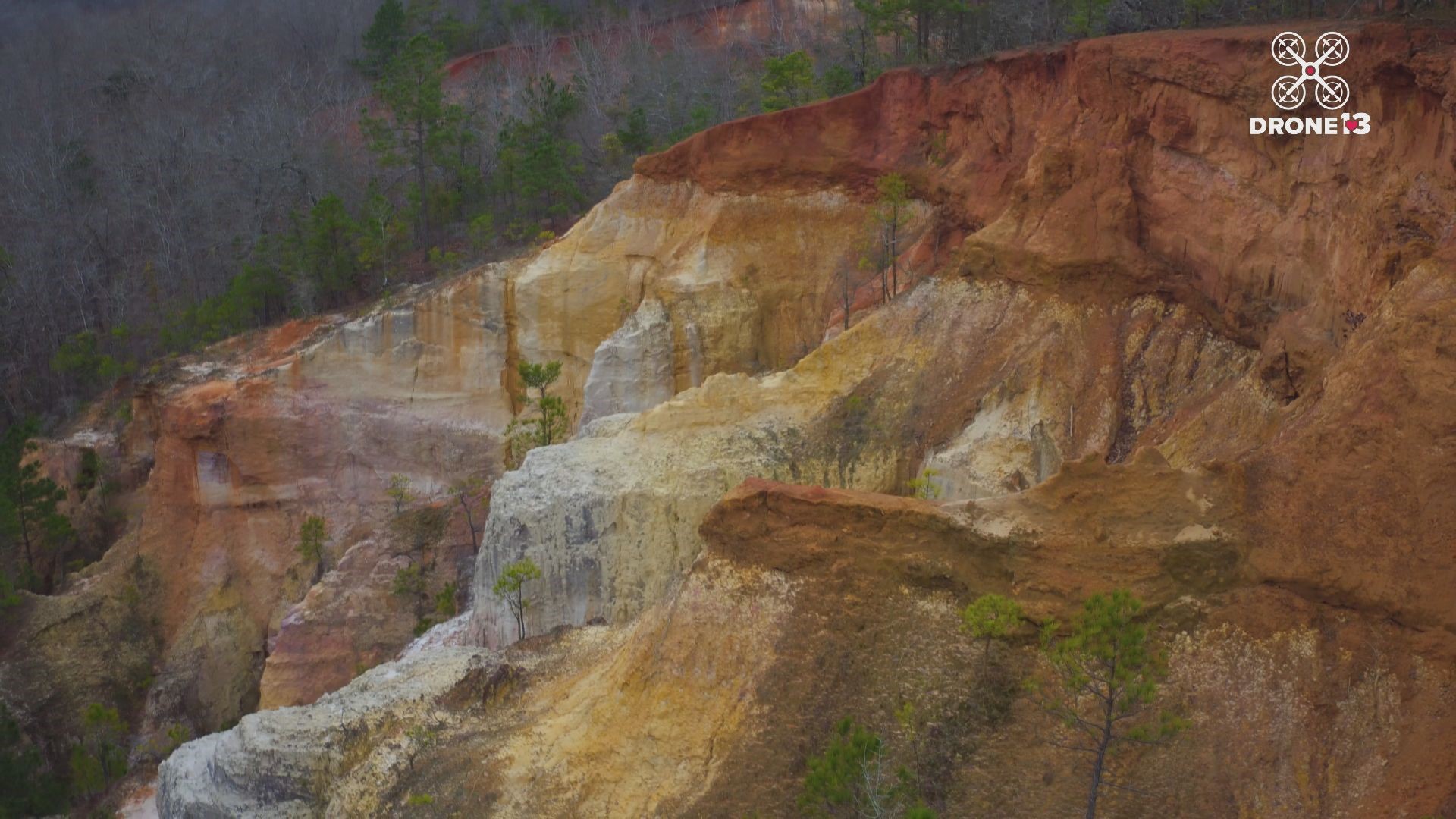 are dogs allowed at providence canyon