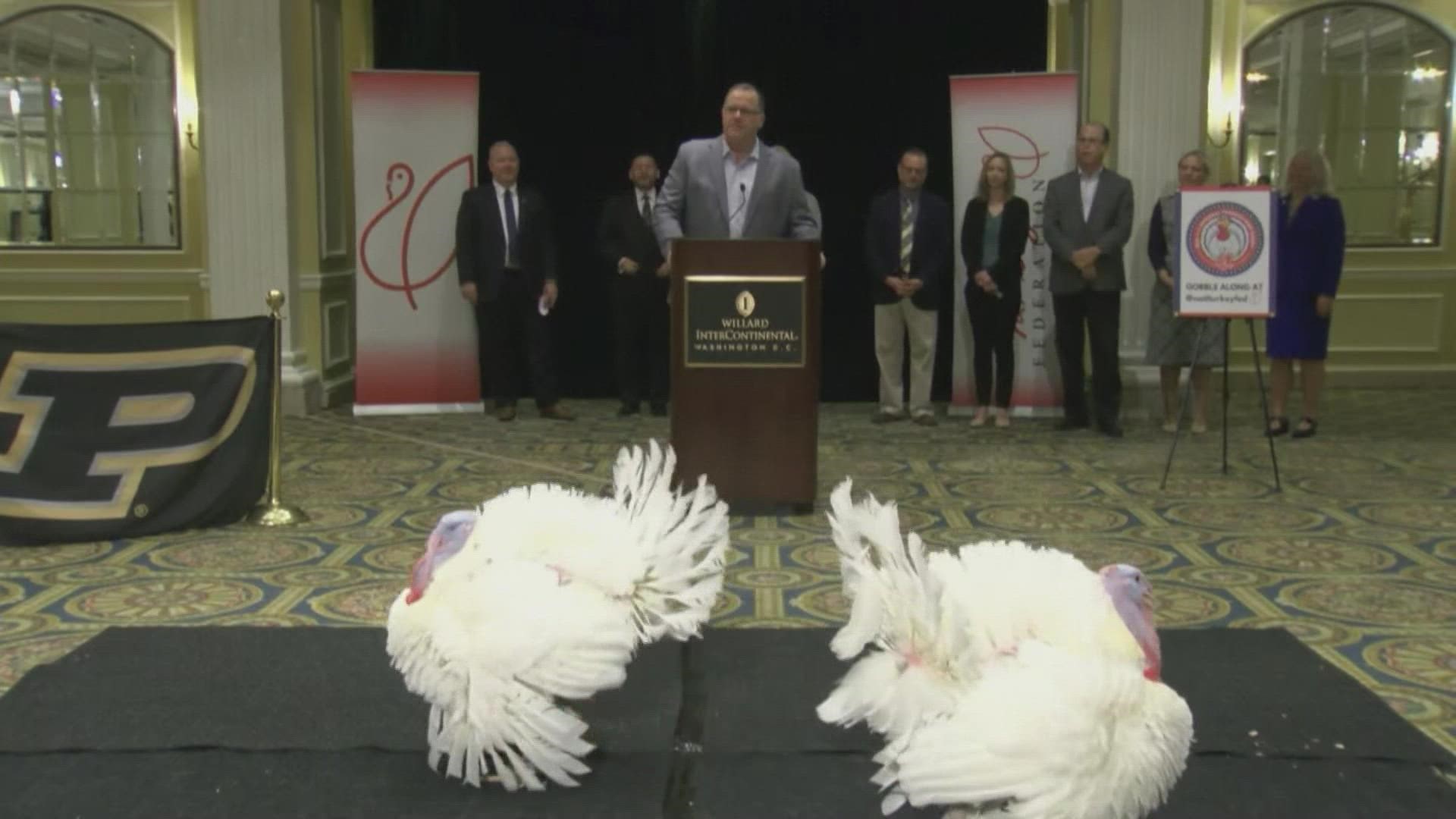 President Joe Biden pardoned two turkeys from Jasper, Indiana, named Peanut Butter and Jelly.