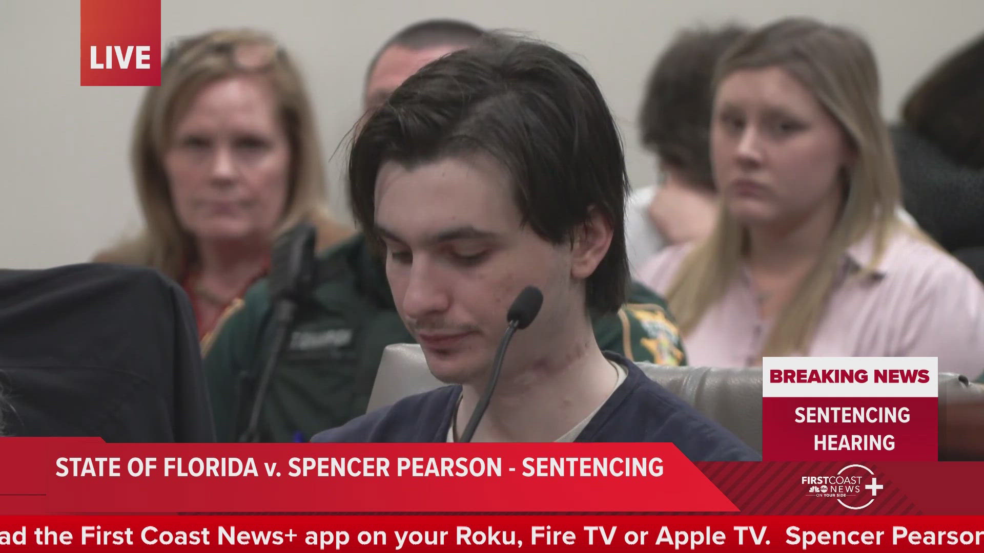 Judge R. Lee Smith said while he considered Pearson's mental illness, he ultimately decided the case warranted the maximum sentence.