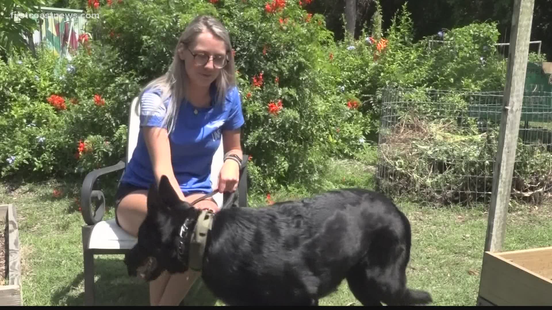 'Cass is home!': St. Augustine Beach woman reunited with lost dog 900 miles away