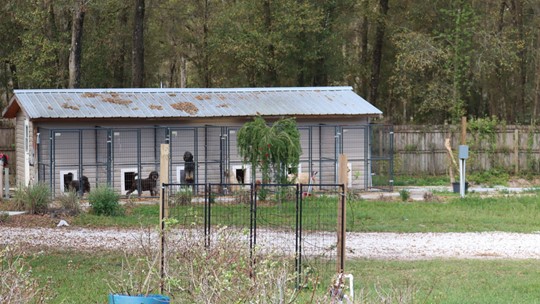 golden valley farm and kennel golden valley farm and kennel