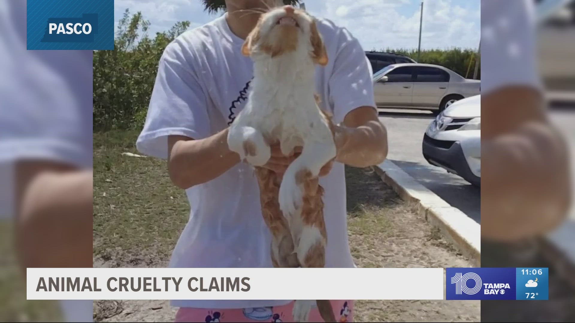 A woman said she was at Brasher Park in Port Richey on Sunday when she saw a 20-year-old man repeatedly throw a cat in the water.