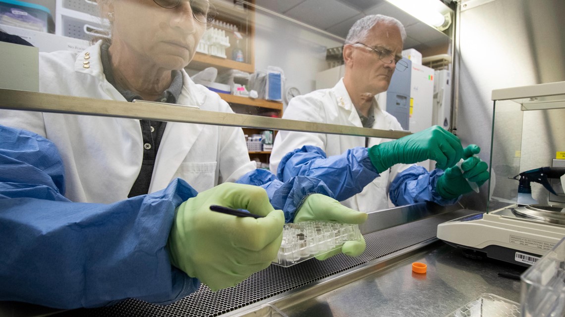 Florida scientists successfully grow plants in lunar dirt - Vimarsana News