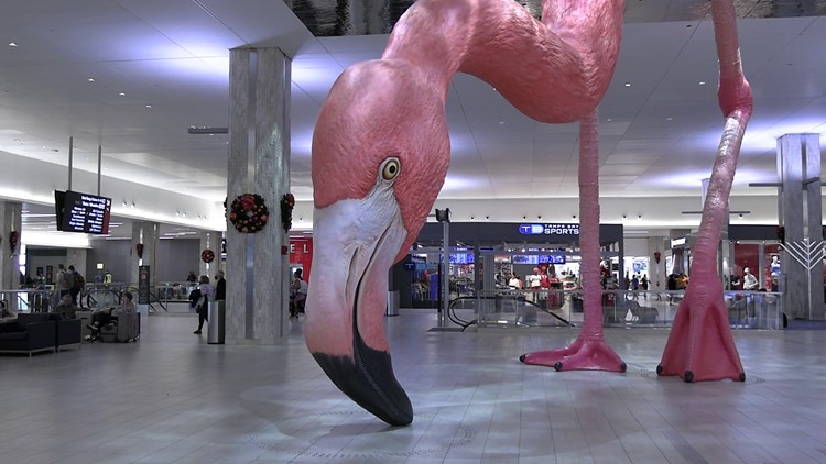 Name TPA's giant flamingo, win airline and Busch Gardens tickets