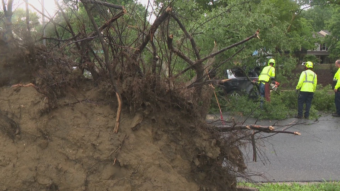 Teen helps rescue family trapped by fallen tree in storm | 13wmaz.com
