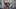 'QAnon Shaman' Jacob Chansley moved from prison to Arizona halfway house
