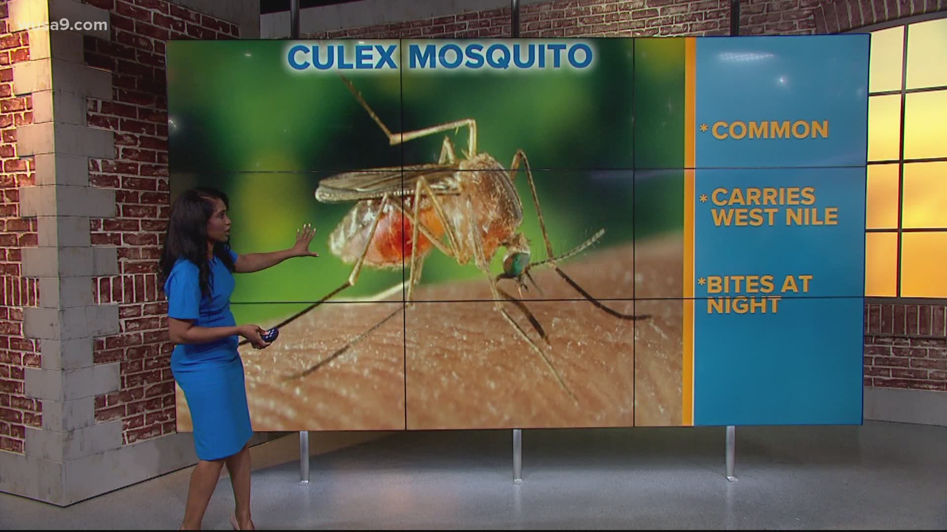 Here's how you might be able to avoid mosquito bites this summer.