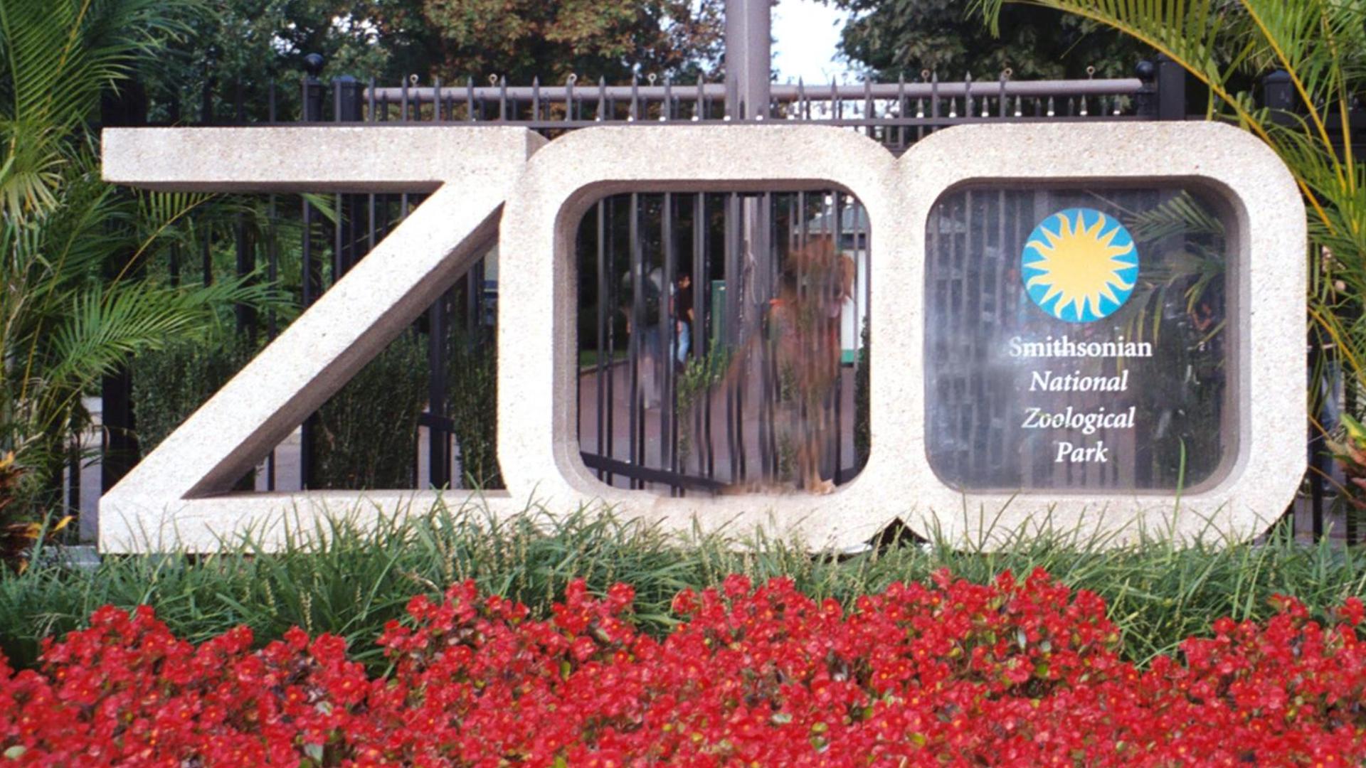 The Smithsonian's Washington National Zoo is one of the oldest zoological park in the country.