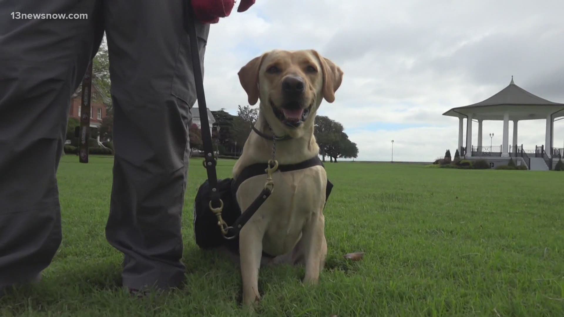 Florida-based non-profit, K9s For Warriors, pairs up shelter dogs with military veterans.