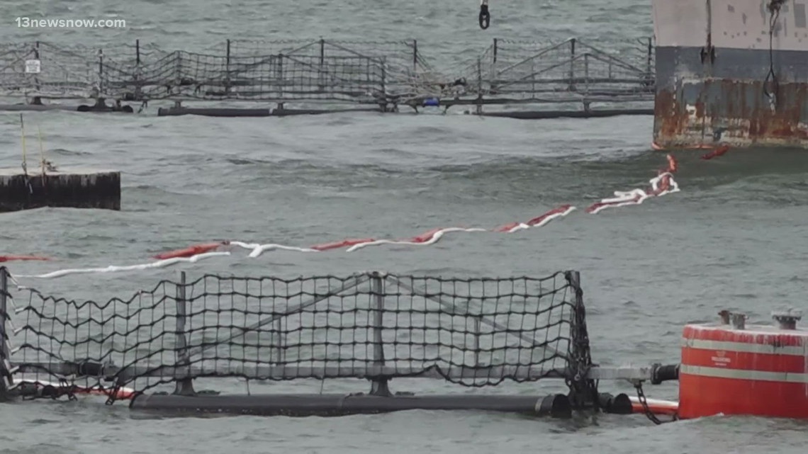 Newport News jet fuel spill impacting wildlife; Chesapeake Bay Foundation sees reports of birds in trouble