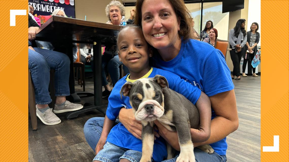 Boy with kidney transpant's wish for a puppy granted | 13wmaz.com