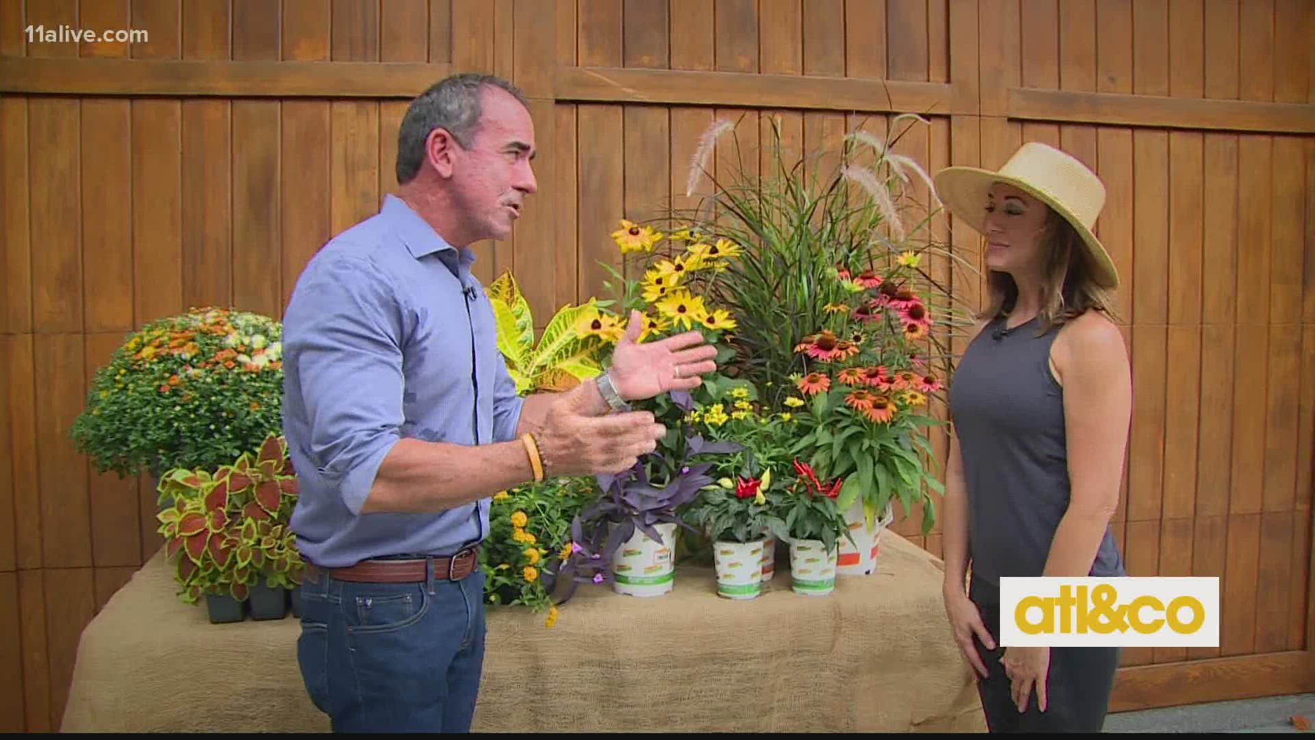 Gardening guru Danny Watson shares top planting tips for the fall season.