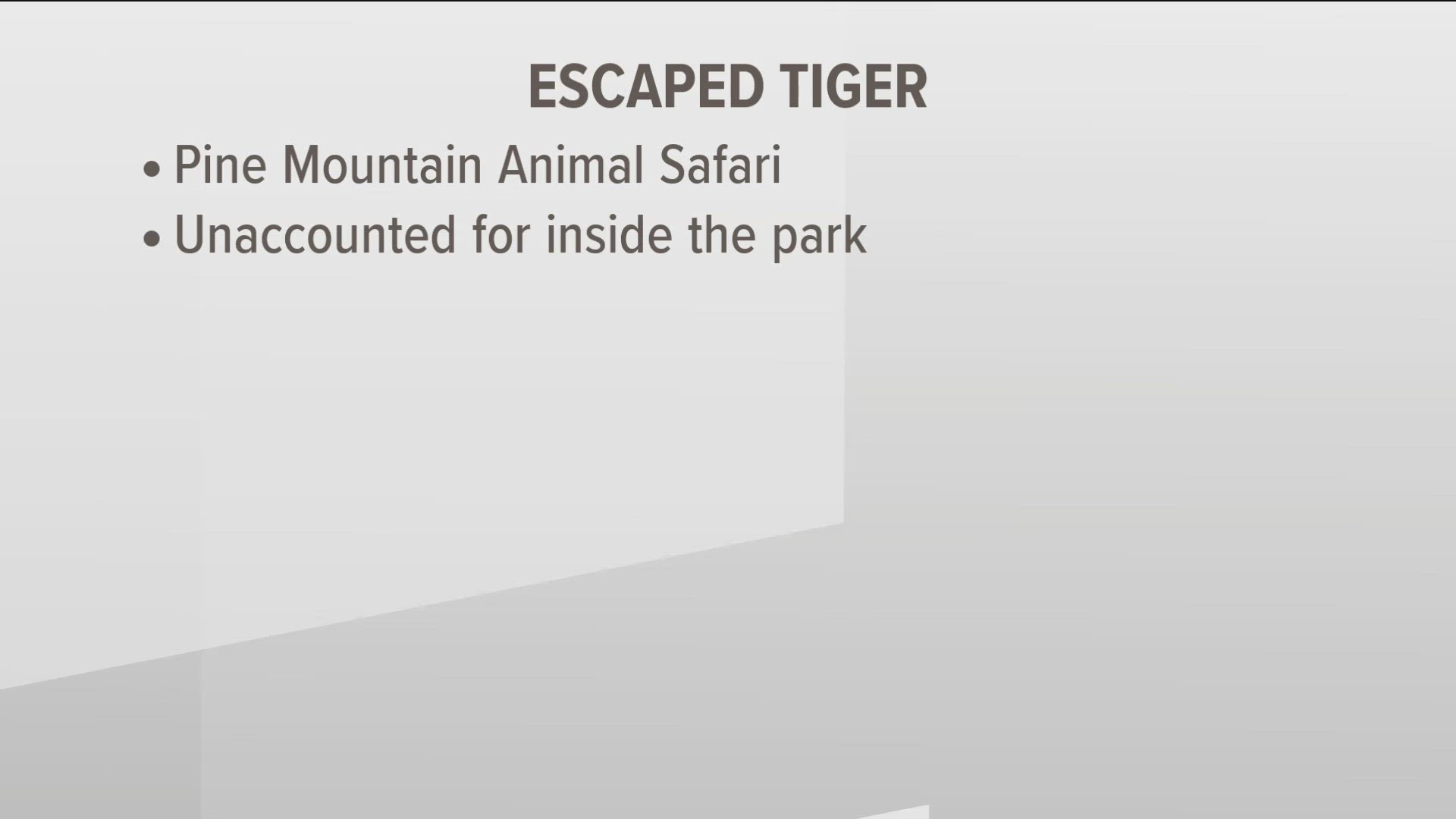 pine mountain animal safari tiger escape