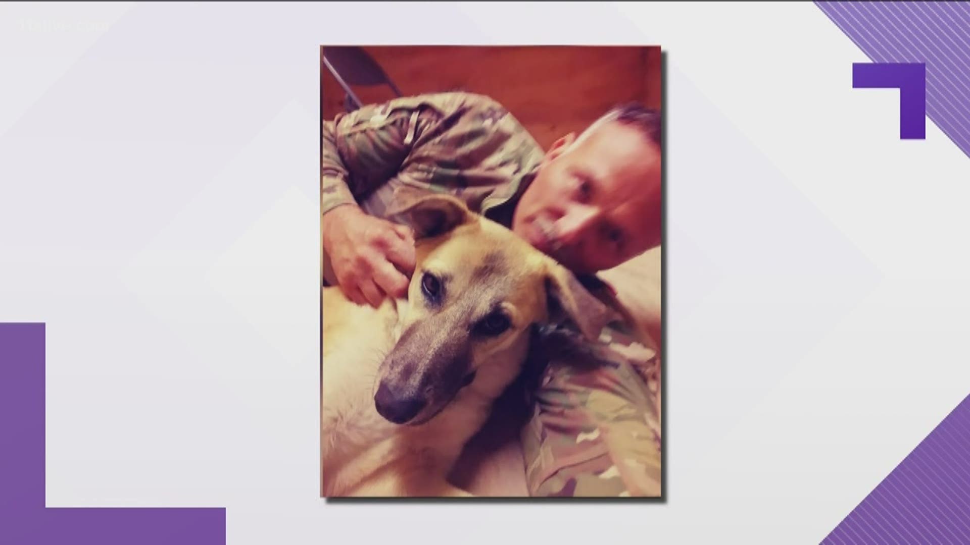 First Sergeant Timothy Boyd first met puppy Misha when she was recovering from horrific abuse. She had been rescued by American soldiers who saw her being dragged by a rope tied around her neck.