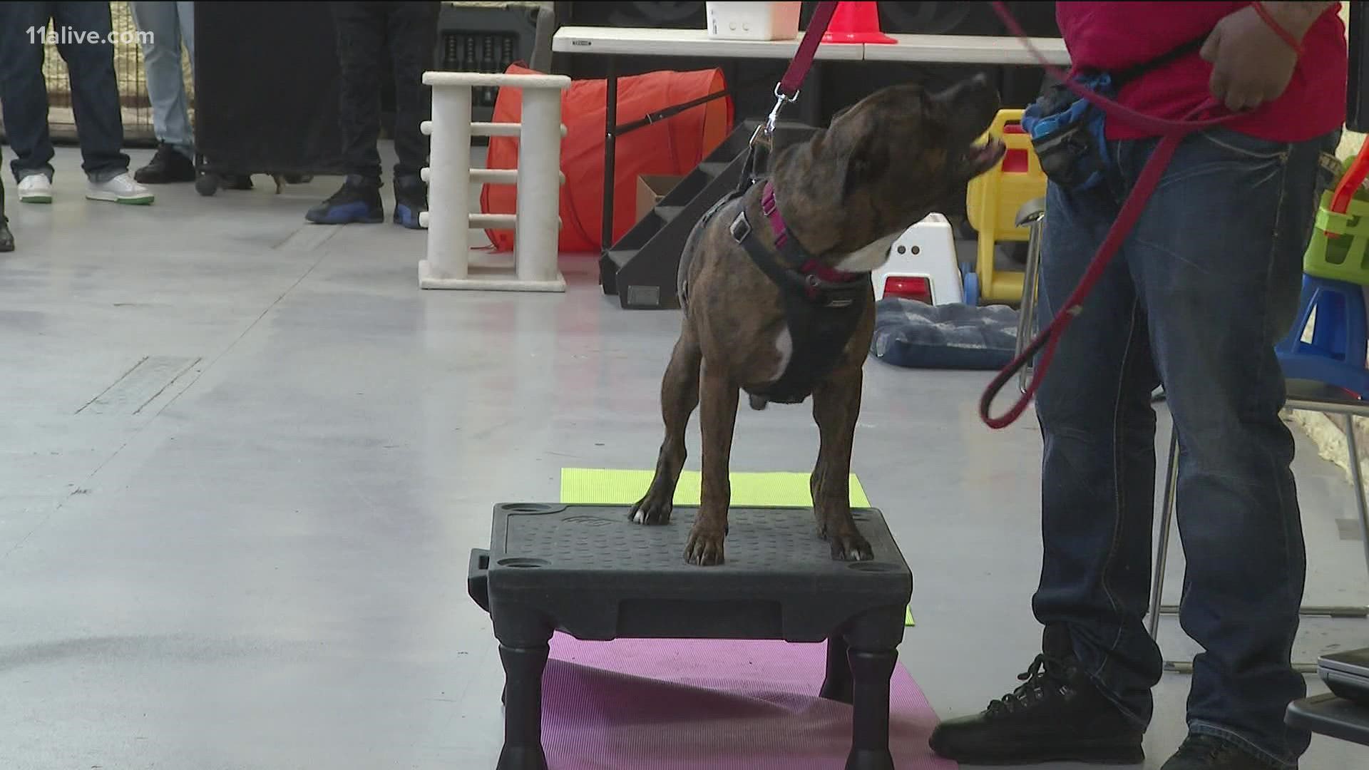 Canine Cellmates usually works with inmates to train dogs while they're behind bars.
but this new program tries to reach the men before they get to jail.