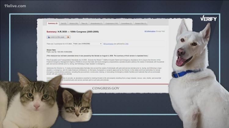 Verify Are Hotels Required To Take Evacuees Pets During Hurricanes Verify Are Hotels Required To Take Evacuees Pets During Hurricanes