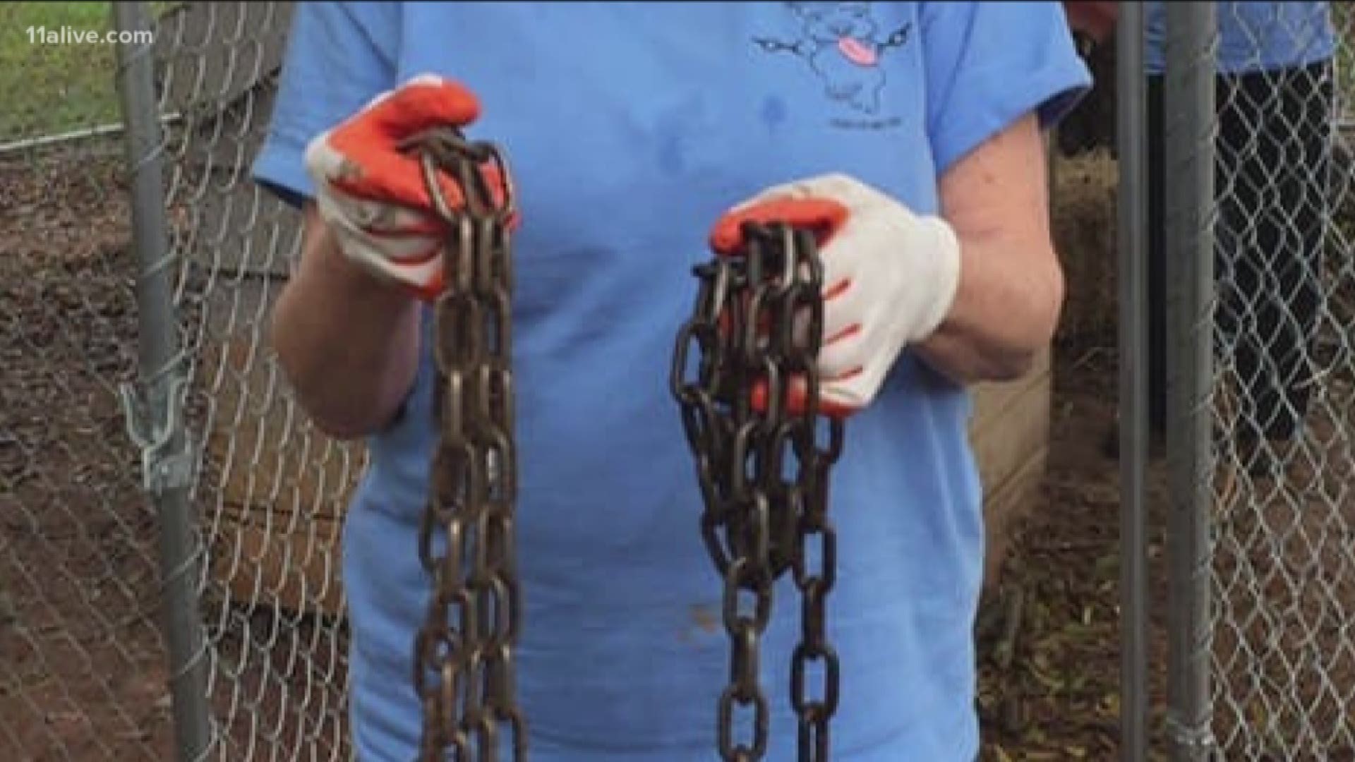 A non-profit in Georgia is trying to free all of the dogs attached to a tether or chain, living outside.